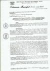 Vista preliminar de documento Ordenanza municipal