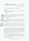 Vista preliminar de documento Ordenanza municipal