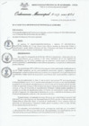 Vista preliminar de documento Ordenanza municipal