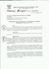 Vista preliminar de documento Ordenanza municipal