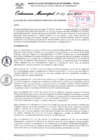 Vista preliminar de documento Ordenanza municipal