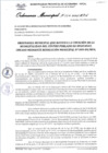 Vista preliminar de documento Ordenanza municipal