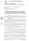 Vista preliminar de documento Ordenanza municipal
