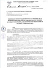 Vista preliminar de documento Ordenanza municipal