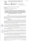 Vista preliminar de documento Ordenanza municipal