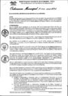 Vista preliminar de documento Ordenanza municipal