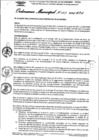 Vista preliminar de documento Ordenanza municipal