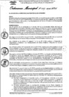 Vista preliminar de documento Ordenanza municipal