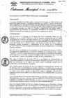 Vista preliminar de documento Ordenanza municipal