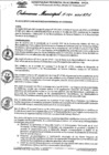 Vista preliminar de documento Ordenanza municipal