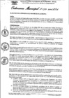 Vista preliminar de documento Ordenanza municipal