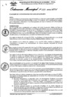 Vista preliminar de documento Ordenanza municipal