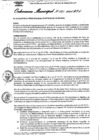 Vista preliminar de documento Ordenanza municipal