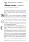 Vista preliminar de documento Ordenanza municipal