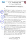 Vista preliminar de documento RES-ALC-219-2021.