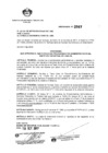 Vista preliminar de documento ordenanza 2067.pdf