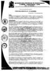 Vista preliminar de documento Ordenanza Municipal