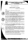 Vista preliminar de documento Ordenanza Municipal