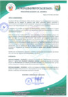 Vista preliminar de documento RESOLUCIÓN DE ALCALDIA  Nº 124-2020-MPB·A