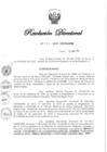 Vista preliminar de documento RD N° 383-2021.pdf