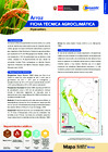 Vista preliminar de documento ARROZ.pdf