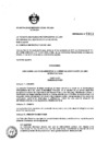 Vista preliminar de documento ordenanzan1911.pdf