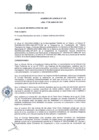 Vista preliminar de documento AC 208 17.06.2021.pdf
