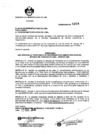 Vista preliminar de documento Ordenanza 1919.pdf