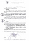 Vista preliminar de documento RG_428-2020.pdf