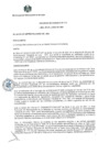 Vista preliminar de documento AC 217 25.06.2021.pdf