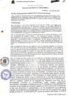 Vista preliminar de documento Resolución de alcaldía