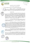 Vista preliminar de documento DECRETO DE ALCALDIA Nº 013-2017/MSJM