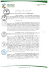 Vista preliminar de documento DECRETO DE ALCALDIA Nº 011-2017/MSJM