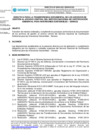 Vista preliminar de documento Directiva_00004_2021_SENACE_GG.1.pdf