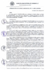 Vista preliminar de documento RG_411-2020.pdf