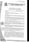 Vista preliminar de documento Ordenanza Municipal