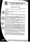 Vista preliminar de documento Ordenanza Municipal