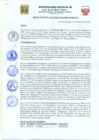 Vista preliminar de documento Resolucion379_2020