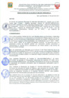 Vista preliminar de documento Resolucion266_2021