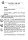 Vista preliminar de documento Ordenanza Municipal