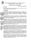 Vista preliminar de documento Ordenanza Municipal