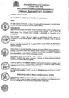 Vista preliminar de documento Ordenanza Municipal