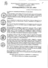 Vista preliminar de documento Ordenanza Municipal