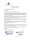 Vista preliminar de documento AC 315 26.08.2021.pdf