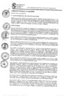 Vista preliminar de documento ACUERDO - 011