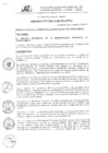 Vista preliminar de documento Ordenanza Municipal
