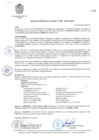 Vista preliminar de documento RA-038-MDY-2019.pdf