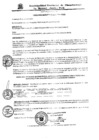 Vista preliminar de documento Ordenanza Municipal