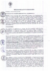 Vista preliminar de documento RA_080_2021.pdf