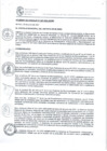 Vista preliminar de documento ACUERDO - 027